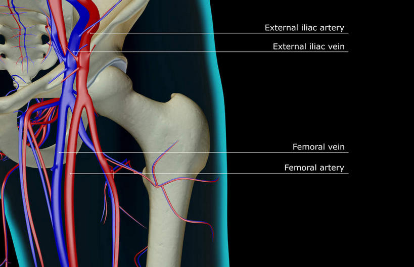 骨骼,无人,横图,x光片,室内,白天,正面,数码,科技,阴影,黑色背景,辐射,科学,网络,医学,英文,标志,文字,字符,字母,骨头,高光,几何,计算机图形,合成,标识,解说,说明,皮肤,英文字母,电脑合成图,数码合成图,骨架,医疗,科学技术,x射线,x光,写实,具体,具象,阐明,申明,注解,注明,髂动脉,髂静脉,髂内静脉,髂外动脉,髂外静脉,臀围,半身,彩图,电磁波,电磁辐射