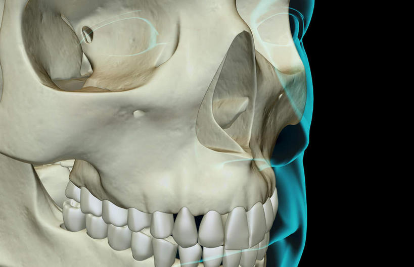 骨骼,无人,横图,x光片,室内,白天,正面,数码,科技,阴影,黑色背景,辐射,科学,网络,医学,骨头,高光,几何,计算机图形,合成,皮肤,电脑合成图,数码合成图,骨架,医疗,科学技术,x射线,x光,写实,具体,具象,颚骨,颧骨,彩图,电磁波,电磁辐射