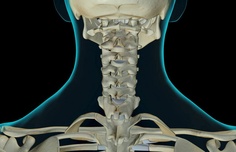 骨骼,无人,横图,x光片,室内,白天,正面,数码,科技,阴影,黑色背景,辐射,科学,网络,医学,骨头,高光,几何,计算机图形,合成,皮肤,电脑合成图,数码合成图,骨架,医疗,科学技术,x射线,x光,写实,具体,具象,颧骨,颈椎骨,半身,彩图,电磁波,电磁辐射