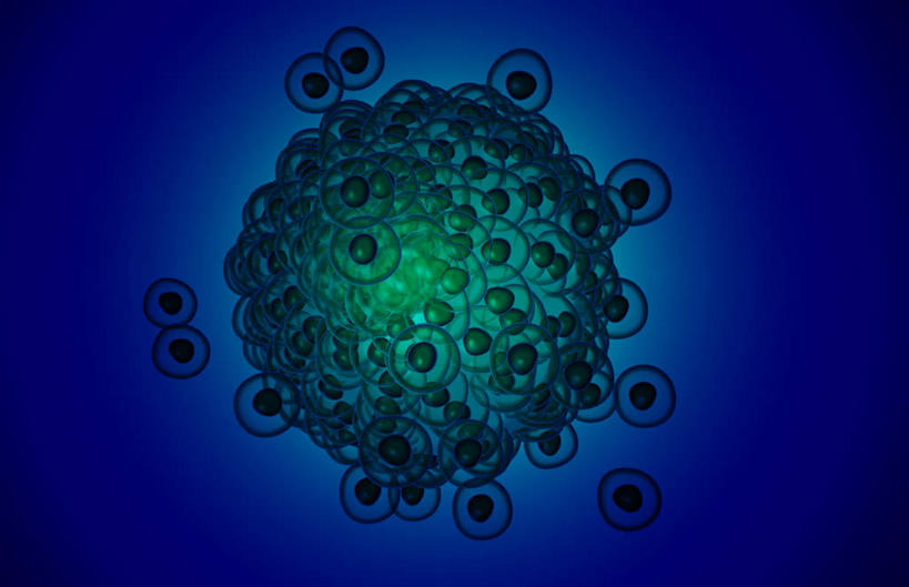 无人,横图,室内,特写,白天,正面,数码,科技,静物,阴影,黑色背景,网络,医学,细胞,高光,几何,计算机图形,合成,人体,生长,成长,电脑合成图,数码合成图,生物学,卵子,发展,生理学,写实,具体,具象,彩图,胚胎,受精卵