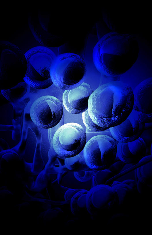 无人,竖图,插画,室内,特写,白天,正面,数码,科技,静物,阴影,黑色背景,发光,网络,医学,细胞,高光,几何,计算机图形,合成,图画,画,蓝色,人体,电脑合成图,数码合成图,生物学,漫画,生理学,写实,具体,具象,淋巴系统,淋巴细胞,淋巴,淋巴管,淋巴液,淋巴组织,免疫组织,彩图