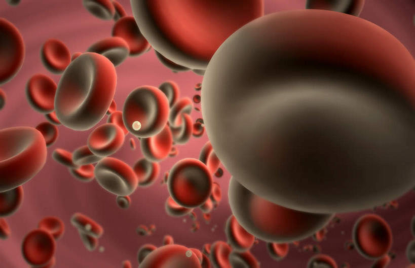 无人,横图,室内,特写,白天,正面,数码,科技,静物,阴影,黑色背景,网络,红血球,医学,细胞,高光,几何,计算机图形,合成,血液,人体,电脑合成图,数码合成图,生物学,生理学,写实,具体,具象,红细胞,彩图