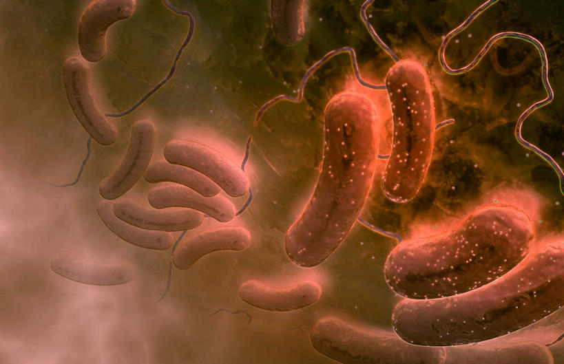 无人,横图,室内,特写,白天,正面,数码,科技,微生物,静物,阴影,黑色背景,网络,细菌,医学,细胞,高光,几何,计算机图形,合成,人体,电脑合成图,数码合成图,生物学,生理学,写实,具体,具象,生命体,大肠杆菌,大肠埃希氏菌,肠道菌群,彩图