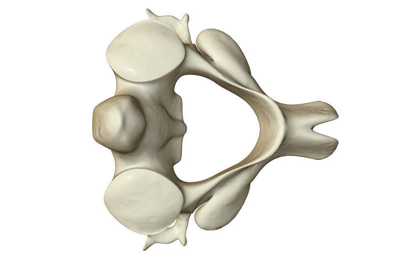 骨骼,无人,横图,x光片,室内,白天,白色背景,正面,数码,科技,阴影,辐射,科学,网络,医学,骨头,高光,几何,计算机图形,合成,电脑合成图,数码合成图,骨架,医疗,科学技术,x射线,x光,写实,具体,具象,颈椎骨,轴骨,彩图,电磁波,电磁辐射