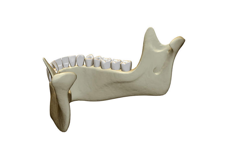 骨骼,无人,横图,x光片,室内,白天,白色背景,正面,数码,科技,阴影,辐射,科学,网络,医学,骨头,高光,几何,计算机图形,合成,电脑合成图,数码合成图,骨架,医疗,科学技术,x射线,x光,写实,具体,具象,颚骨,彩图,电磁波,电磁辐射