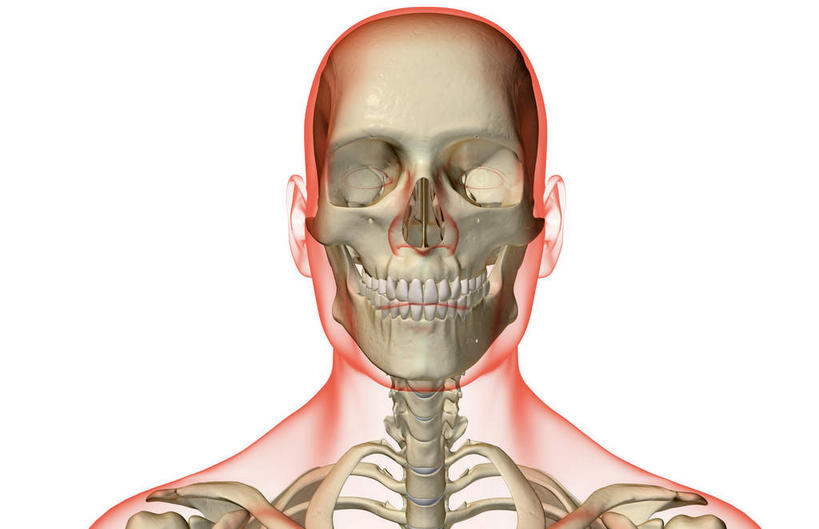 脸,头,脸颊,脖子,颅骨,骨骼,无人,横图,x光片,室内,白天,白色背景,正面,数码,科技,阴影,辐射,科学,网络,医学,骨头,高光,几何,计算机图形,合成,皮肤,电脑合成图,数码合成图,骨架,医疗,科学技术,x射线,x光,写实,具体,具象,颚骨,颈椎骨,头盖骨,头部,脖,颈,颈部,脸部,脸蛋,面部,彩图,电磁波,电磁辐射