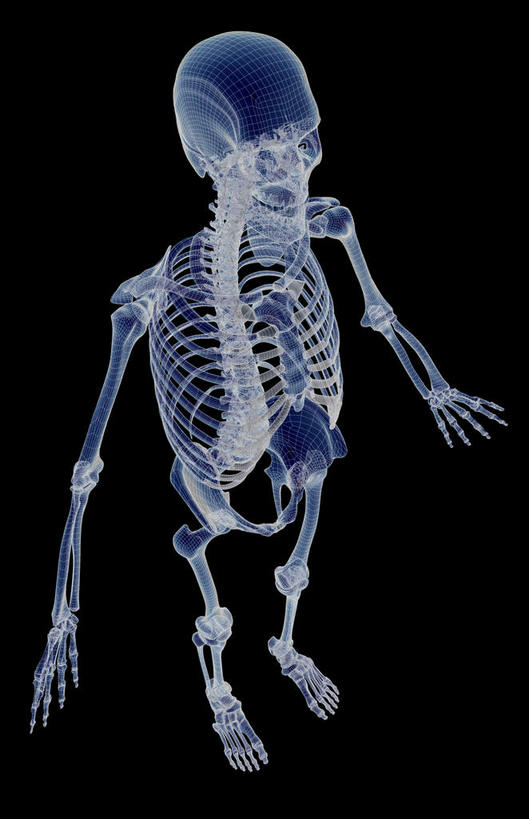 骨骼,肋骨,无人,站,竖图,x光片,室内,白天,正面,数码,科技,阴影,黑色背景,辐射,科学,网络,医学,骨头,高光,几何,计算机图形,合成,站着,皮肤,电脑合成图,数码合成图,骨架,医疗,科学技术,x射线,x光,写实,具体,具象,骨骼系统,站立,半身,彩图,电磁波,电磁辐射