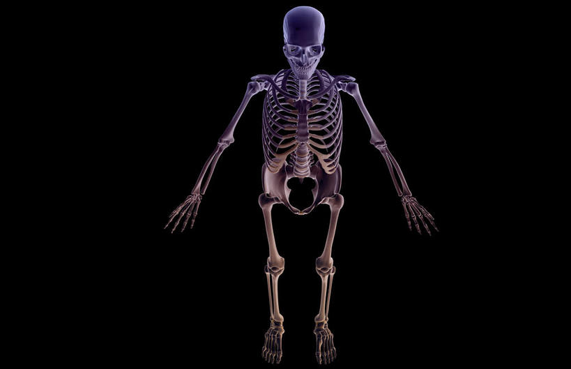 骨骼,肋骨,无人,横图,x光片,室内,白天,正面,数码,科技,阴影,黑色背景,辐射,科学,网络,医学,骨头,高光,几何,计算机图形,合成,皮肤,电脑合成图,数码合成图,骨架,医疗,科学技术,x射线,x光,写实,具体,具象,骨骼系统,彩图,电磁波,电磁辐射