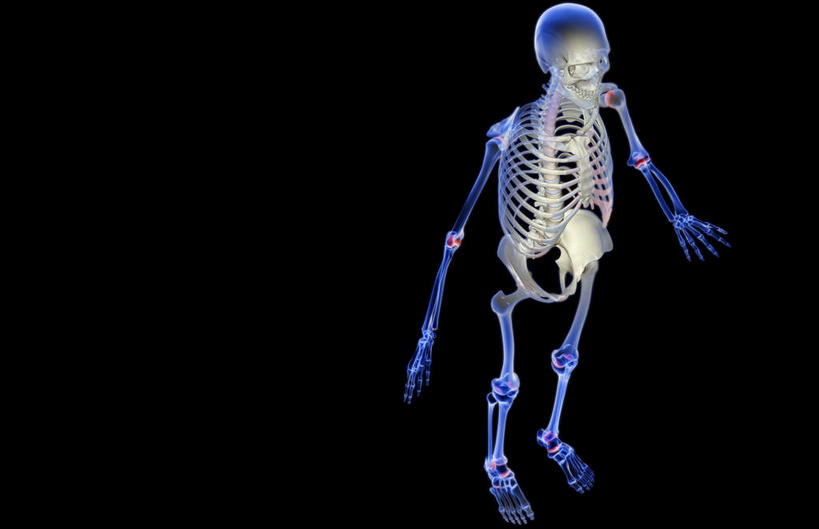 骨骼,肋骨,无人,横图,俯视,x光片,室内,白天,数码,科技,阴影,黑色背景,发光,辐射,科学,网络,医学,骨头,高光,几何,计算机图形,合成,电脑合成图,数码合成图,骨架,医疗,科学技术,x射线,x光,写实,具体,具象,骨骼系统,半身,彩图,高角度拍摄,全身,电磁波,电磁辐射