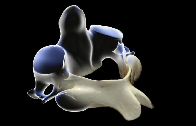 骨骼,无人,横图,x光片,室内,白天,正面,数码,科技,阴影,黑色背景,发光,辐射,科学,网络,医学,骨头,高光,几何,计算机图形,合成,蓝色,电脑合成图,数码合成图,骨架,医疗,科学技术,x射线,x光,写实,具体,具象,轴骨,彩图,电磁波,电磁辐射