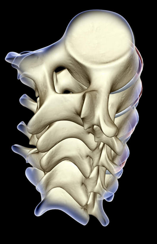 脊髓,骨骼,无人,竖图,x光片,室内,白天,正面,数码,科技,阴影,黑色背景,发光,辐射,科学,网络,医学,骨头,高光,几何,计算机图形,合成,蓝色,电脑合成图,数码合成图,骨架,医疗,科学技术,x射线,x光,写实,具体,具象,腰椎,脊柱,彩图,电磁波,电磁辐射