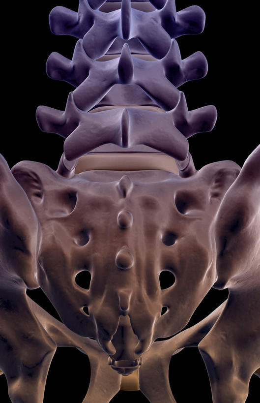 脊髓,骨骼,无人,竖图,x光片,室内,白天,正面,数码,科技,阴影,黑色背景,辐射,科学,网络,医学,骨头,高光,几何,计算机图形,合成,电脑合成图,数码合成图,骨架,医疗,科学技术,x射线,x光,写实,具体,具象,尾骨,腰椎,骶椎,脊柱,彩图,电磁波,电磁辐射