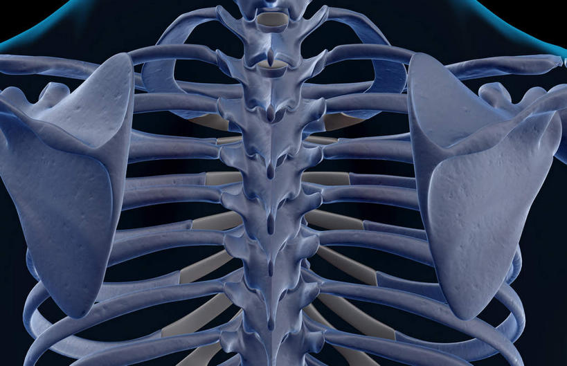 肩关节,骨骼,无人,横图,x光片,室内,白天,正面,数码,科技,阴影,黑色背景,辐射,科学,网络,医学,骨头,高光,几何,计算机图形,合成,皮肤,电脑合成图,数码合成图,骨架,医疗,科学技术,x射线,x光,写实,具体,具象,胸椎骨,彩图,电磁波,电磁辐射