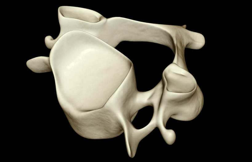 脊髓,骨骼,无人,横图,x光片,室内,白天,正面,数码,科技,阴影,黑色背景,辐射,科学,网络,医学,骨头,高光,几何,计算机图形,合成,电脑合成图,数码合成图,骨架,医疗,科学技术,x射线,x光,写实,具体,具象,颈椎,横突,脊柱,彩图,电磁波,电磁辐射