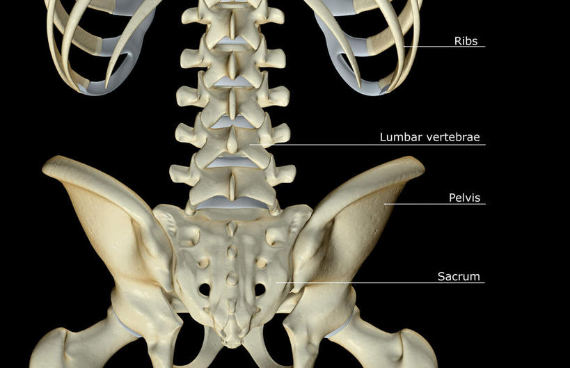 骨骼,骨盆,无人,横图,x光片,室内,白天,正面,数码,科技,阴影,黑色背景,辐射,科学,网络,医学,英文,标志,文字,字符,字母,骨头,高光,几何,计算机图形,合成,标识,解说,说明,英文字母,电脑合成图,数码合成图,骨架,医疗,科学技术,x射线,x光,写实,具体,具象,骶骨,阐明,申明,注解,注明,腰椎,腰部,彩图,电磁波,电磁辐射