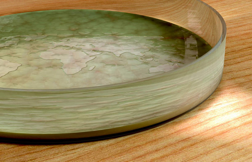 无人,横图,室内,特写,白天,正面,实验,仪器,地板,微生物,研究,分析,化学,测试,培养皿,液体,地面,木地板,器皿,生物,试验耗材,实验用品,化学器材,彩图