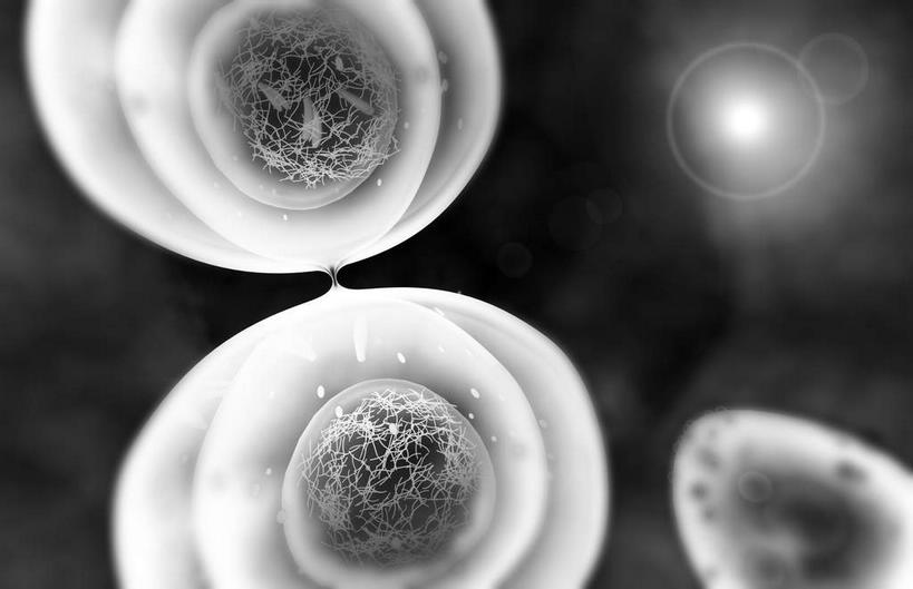 无人,横图,黑白,插画,室内,特写,白天,正面,数码,科技,静物,阴影,黑色背景,网络,医学,细胞,高光,几何,计算机图形,合成,图画,画,人体,电脑合成图,数码合成图,生物学,破裂,分裂,漫画,生理学,写实,具体,具象,细胞分裂,有丝分裂,割裂,盘据,决裂