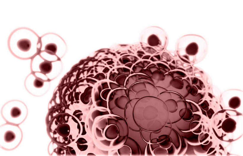 无人,横图,插画,室内,特写,白天,白色背景,正面,数码,科技,静物,阴影,网络,医学,细胞,高光,几何,计算机图形,合成,图画,画,人体,生长,成长,电脑合成图,数码合成图,胎儿,生物学,发育,卵子,漫画,孕育,生理学,写实,具体,具象,胚泡,彩图,胚胎