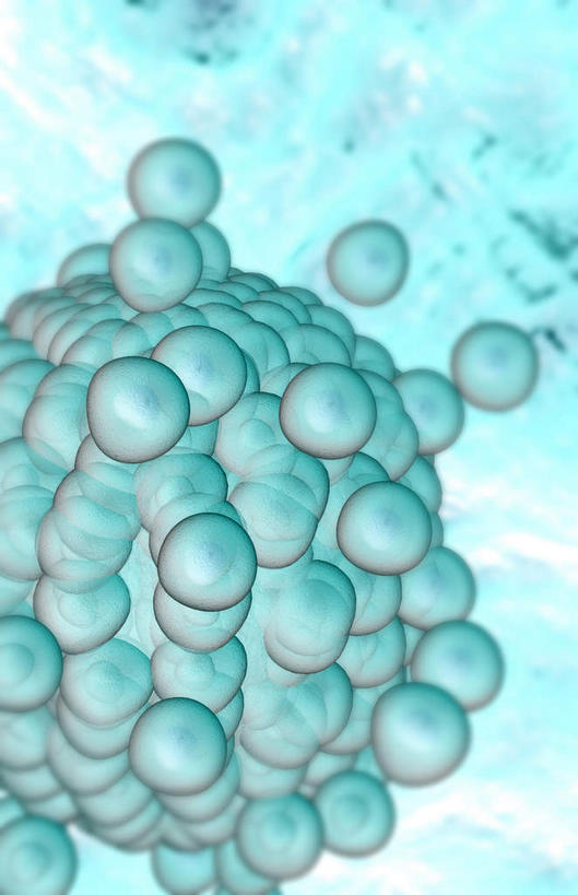 无人,竖图,插画,室内,特写,白天,白色背景,正面,数码,科技,静物,阴影,网络,医学,细胞,高光,几何,计算机图形,合成,图画,画,人体,生长,成长,电脑合成图,数码合成图,胎儿,生物学,发育,漫画,孕育,生理学,写实,具体,具象,胚胎移植,彩图,胚胎