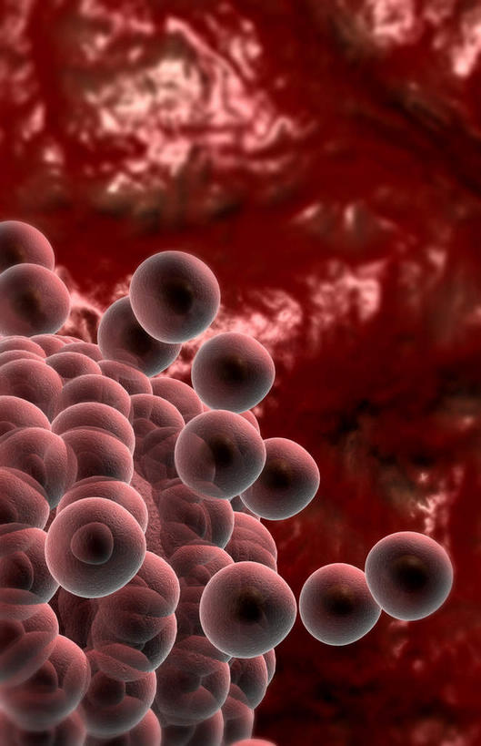 子宫,无人,竖图,插画,室内,特写,白天,正面,数码,科技,静物,阴影,网络,医学,细胞,高光,几何,计算机图形,合成,图画,画,人体,生长,成长,电脑合成图,数码合成图,胎儿,生物学,发育,卵子,漫画,孕育,生理学,写实,具体,具象,胚胎移植,彩图,胚胎,生殖器官