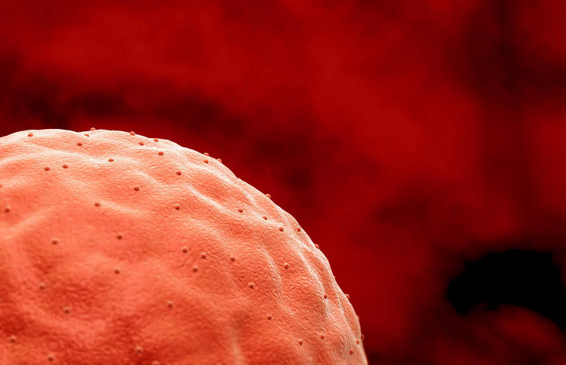 无人,横图,插画,室内,特写,白天,正面,数码,科技,静物,阴影,网络,医学,细胞,高光,几何,计算机图形,合成,图画,画,人体,生长,成长,电脑合成图,数码合成图,胎儿,生物学,发育,卵子,漫画,孕育,生理学,写实,具体,具象,胚胎移植,彩图