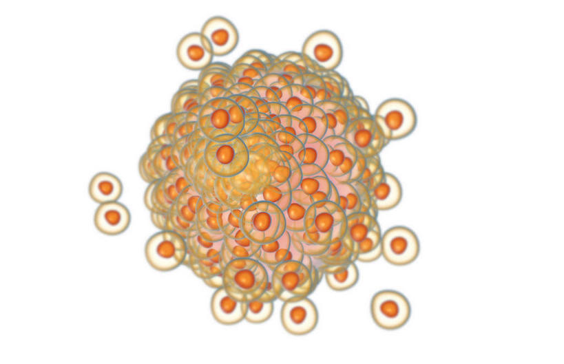 无人,横图,插画,室内,特写,白天,白色背景,正面,数码,科技,静物,阴影,网络,医学,细胞,高光,几何,计算机图形,合成,图画,画,人体,生长,成长,电脑合成图,数码合成图,胎儿,生物学,发育,卵子,漫画,孕育,生理学,写实,具体,具象,胚泡,胚胎移植,彩图,胚胎