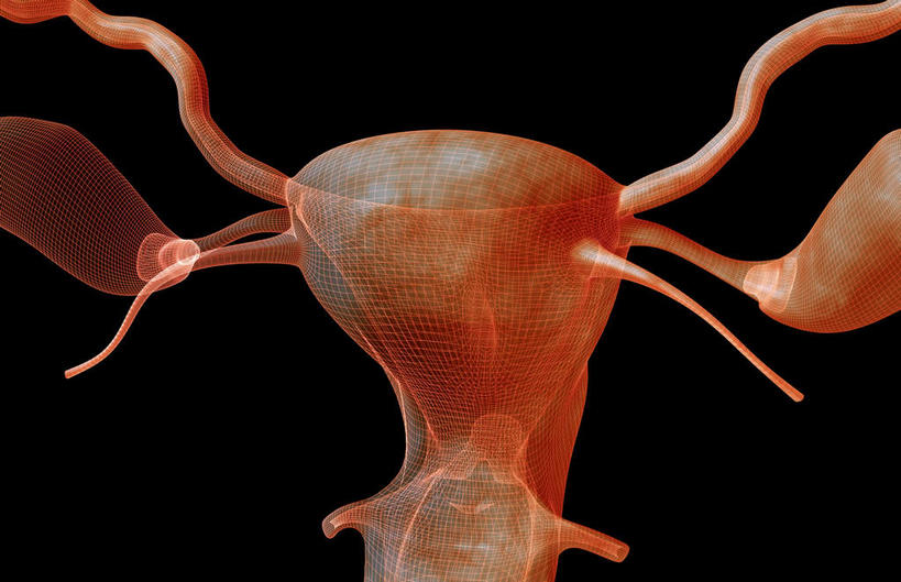 卵巢,子宫,阴道,无人,横图,插画,室内,特写,白天,正面,数码,科技,静物,阴影,黑色背景,网络,医学,细胞,高光,几何,计算机图形,合成,图画,画,人体,电脑合成图,数码合成图,生物学,漫画,输卵管,生理学,写实,具体,具象,女性生殖器官,彩图,生殖器官,生殖系统