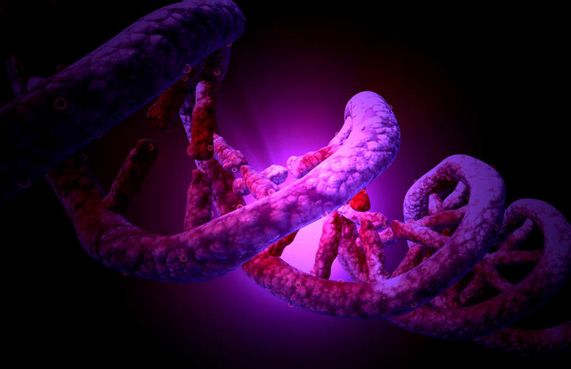 无人,横图,插画,室内,特写,白天,正面,数码,科技,静物,阴影,科学,网络,基因,医学,细胞,高光,几何,计算机图形,合成,图画,画,紫色,生物,人体,遗传,电脑合成图,数码合成图,生物学,脱氧核糖核酸,漫画,DNA双螺旋结构,生理学,写实,具体,具象,DNA分子,去氧核糖核酸,遗传信息,遗传因子,遗传学,彩图