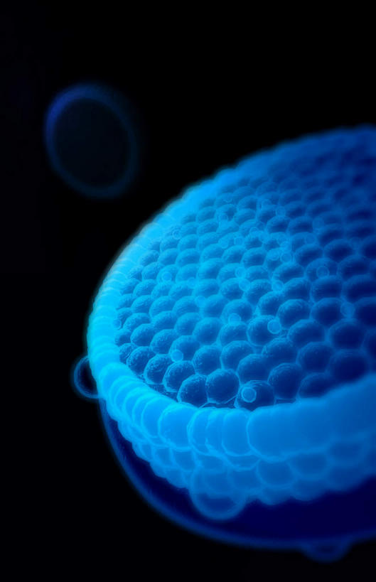 无人,竖图,插画,室内,特写,白天,正面,数码,科技,静物,阴影,黑色背景,网络,医学,圆形,细胞,高光,几何,计算机图形,合成,图画,画,蓝色,人体,电脑合成图,数码合成图,生物学,蛋白质,漫画,生理学,写实,具体,具象,脂蛋白,彩图