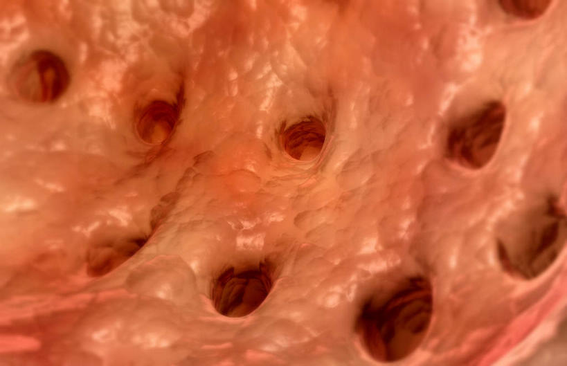 肺,无人,横图,插画,室内,特写,白天,白色背景,正面,数码,科技,静物,阴影,网络,医学,细胞,高光,几何,计算机图形,合成,图画,画,人体,皮肤,电脑合成图,数码合成图,生物学,漫画,生理学,写实,具体,具象,呼吸系统,肺泡,肺部,肺脏,彩图