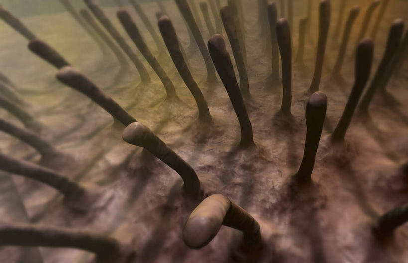 无人,横图,插画,室内,特写,白天,白色背景,正面,数码,科技,静物,阴影,网络,医学,细胞,高光,几何,计算机图形,合成,图画,画,人体,电脑合成图,数码合成图,生物学,漫画,生理学,写实,具体,具象,呼吸系统,纤毛,彩图