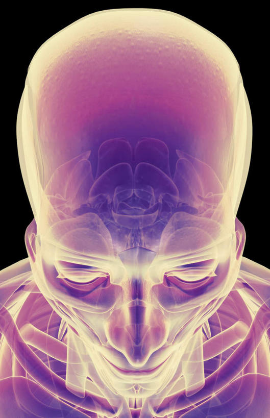 动脉,静脉,骨骼,肌肉,健壮,无人,竖图,插画,室内,特写,白天,正面,数码,科技,静物,阴影,黑色背景,发光,网络,医学,骨头,高光,几何,计算机图形,合成,图画,画,蓝色,模型,健康,活力,力量,人体,青春,电脑合成图,数码合成图,骨架,生物学,强壮,漫画,生理学,写实,具体,具象,额肌,半身,彩图