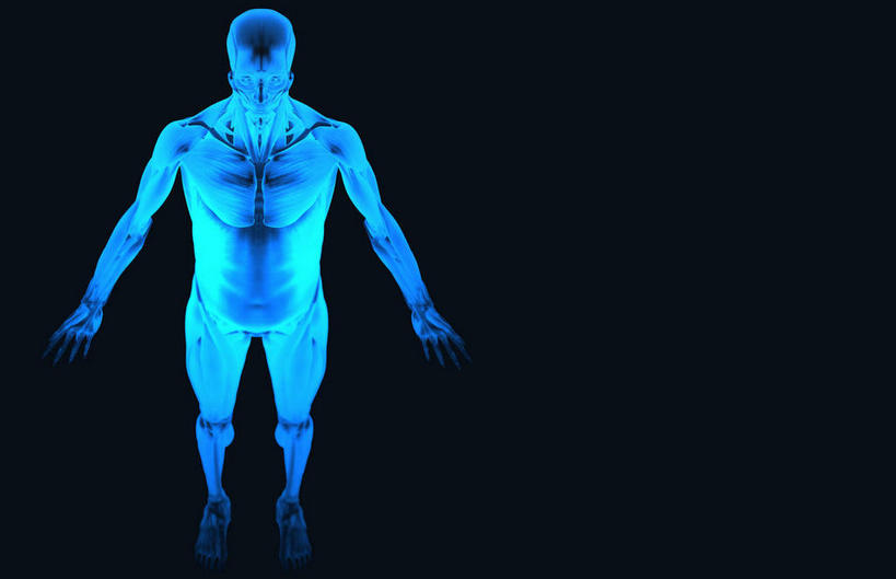 动脉,静脉,骨骼,肌肉,健壮,无人,横图,插画,室内,特写,白天,正面,数码,科技,静物,阴影,黑色背景,网络,医学,骨头,高光,几何,计算机图形,合成,图画,画,模型,健康,活力,力量,人体,青春,电脑合成图,数码合成图,骨架,生物学,强壮,胸肌,漫画,生理学,写实,具体,具象,颧骨,腹外斜肌,口轮匝肌,半身,彩图