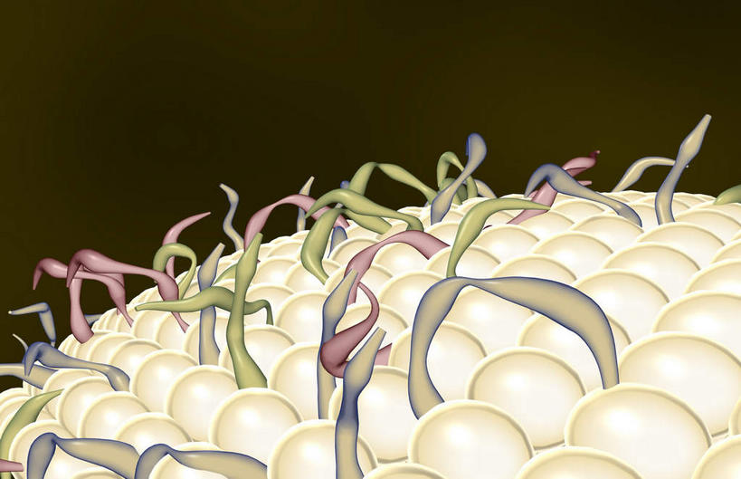 无人,横图,插画,室内,特写,白天,正面,数码,科技,静物,一堆,许多,阴影,堆叠,堆积,黑色背景,网络,医学,细胞,高光,几何,计算机图形,合成,图画,画,红色,绿色,白色,黑色,人体,堆,电脑合成图,数码合成图,生物学,漫画,生理学,写实,具体,具象,细胞膜,糖脂,彩图