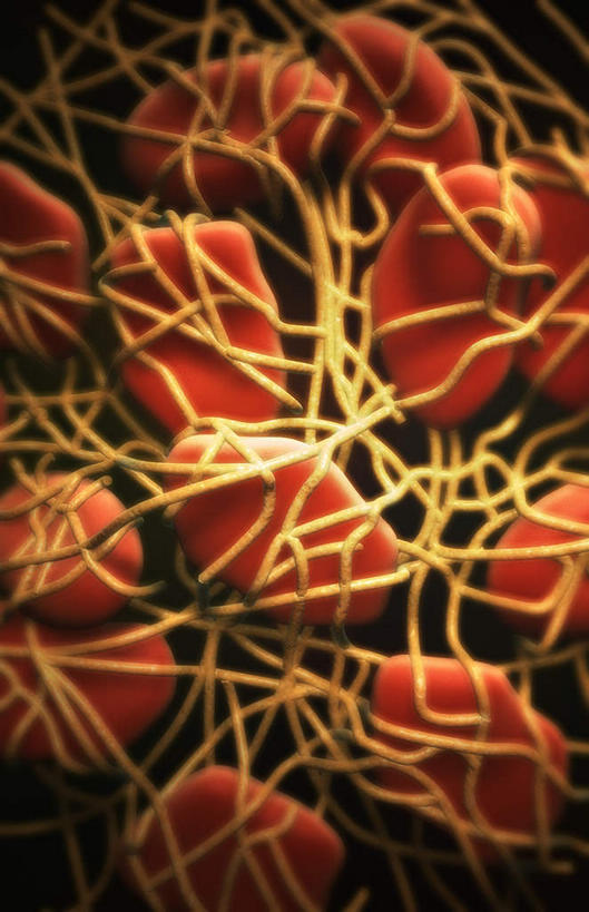 无人,竖图,插画,室内,特写,白天,正面,数码,科技,静物,阴影,黑色背景,网络,医学,细胞,蛋白,高光,几何,计算机图形,合成,图画,画,人体,纤维,电脑合成图,数码合成图,生物学,漫画,生理学,写实,具体,具象,纤维蛋白,彩图