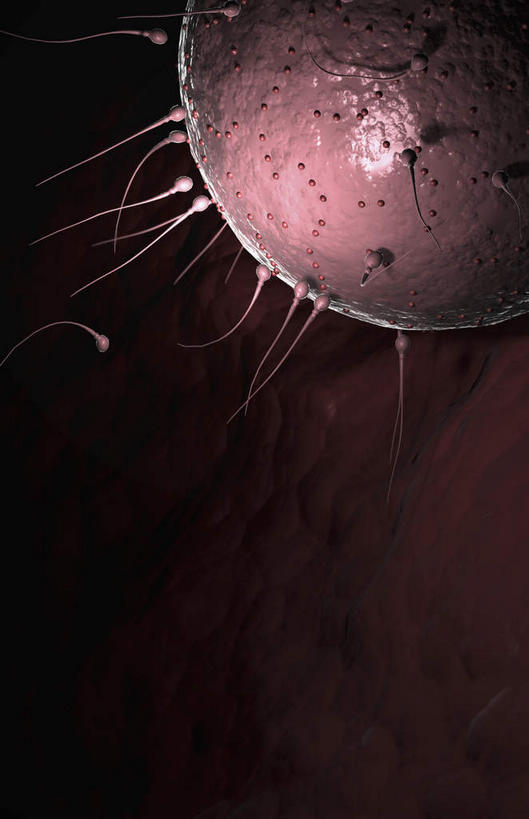 无人,竖图,插画,室内,白天,正面,数码,科技,许多,阴影,黑色背景,网络,高光,几何,计算机图形,合成,图画,画,精子,怀孕,钻,游动,电脑合成图,数码合成图,卵子,漫画,写实,具体,具象,受精,受精作用,彩图