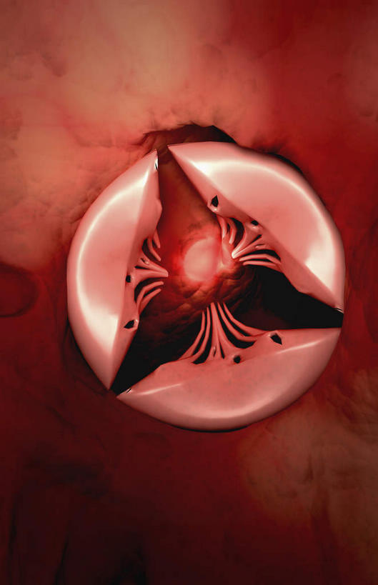 内脏,心脏,无人,竖图,插画,室内,白天,正面,数码,科技,阴影,红色背景,网络,医学,高光,几何,计算机图形,合成,图画,画,电脑合成图,数码合成图,生物学,人体器官,器官,漫画,生理学,写实,具体,具象,三瓣,瓣膜,心脏瓣膜,心,彩图