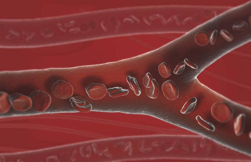血管,无人,横图,插画,室内,特写,白天,正面,数码,科技,静物,阴影,红色背景,网络,血,医学,细胞,高光,几何,计算机图形,合成,图画,画,人体,流动,电脑合成图,数码合成图,生物学,血小板,漫画,流淌,生理学,写实,具体,具象,彩图