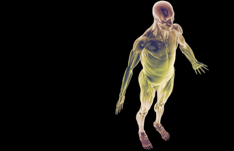 动脉,静脉,骨骼,肌肉,健壮,无人,横图,俯视,插画,x光片,室内,白天,数码,科技,静物,阴影,黑色背景,辐射,科学,网络,医学,骨头,高光,几何,计算机图形,合成,图画,画,黄色,红色,模型,健康,活力,力量,人体,青春,电脑合成图,数码合成图,骨架,医疗,生物学,科学技术,x射线,强壮,胸肌,x光,漫画,生理学,写实,具体,具象,外斜肌,彩图,高角度拍摄,全身,电磁波,电磁辐射