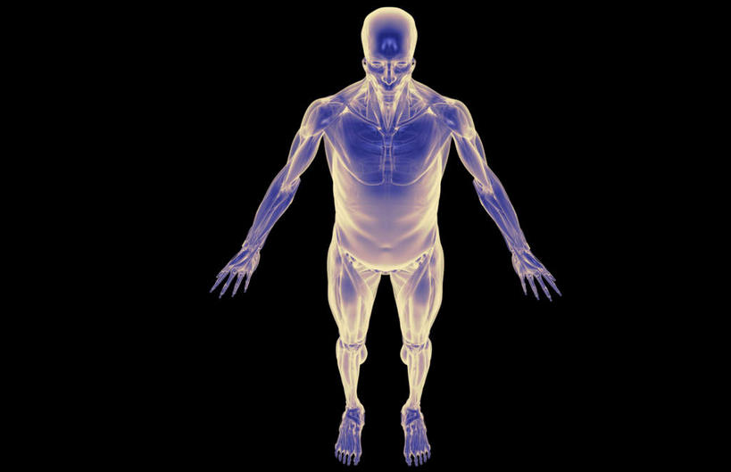 动脉,静脉,骨骼,肌肉,健壮,无人,横图,俯视,插画,x光片,室内,白天,数码,科技,静物,阴影,黑色背景,辐射,科学,网络,医学,骨头,高光,几何,计算机图形,合成,图画,画,紫色,模型,健康,活力,力量,人体,青春,电脑合成图,数码合成图,骨架,医疗,生物学,科学技术,x射线,强壮,胸肌,x光,漫画,生理学,写实,具体,具象,外斜肌,彩图,高角度拍摄,全身,电磁波,电磁辐射