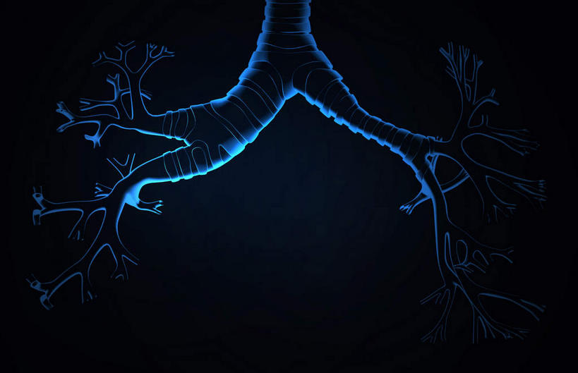 内脏,肺,气管,动脉,静脉,无人,横图,插画,x光片,室内,特写,白天,正面,数码,科技,静物,阴影,黑色背景,辐射,科学,网络,医学,高光,几何,计算机图形,合成,图画,画,一个,蓝色,模型,人体,单个,电脑合成图,数码合成图,医疗,生物学,人体器官,科学技术,x射线,器官,x光,漫画,支气管,生理学,写实,具体,具象,支气管树,肺部,肺脏,半身,彩图,电磁波,电磁辐射