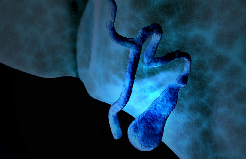 内脏,肝脏,动脉,静脉,骨骼,胆囊,无人,横图,插画,室内,特写,白天,正面,抽象,数码,科技,静物,阴影,黑色背景,网络,医学,骨头,高光,几何,计算机图形,合成,图画,画,蓝色,模型,夸张,人体,电脑合成图,数码合成图,骨架,生物学,人体器官,器官,漫画,生理学,写实,具体,具象,深奥,胆,肝,彩图