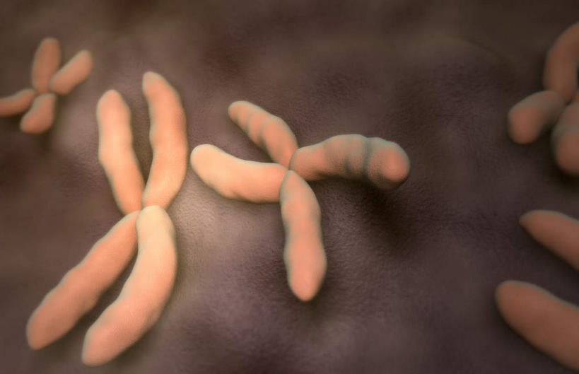 无人,横图,插画,室内,白天,正面,数码,科技,许多,阴影,科学,网络,基因,细胞核,染色体,高光,几何,计算机图形,合成,图画,画,红色,生物,遗传,电脑合成图,数码合成图,脱氧核糖核酸,蛋白质,漫画,写实,具体,具象,核糖核酸,染色质,遗传信息,遗传因子,遗传学,彩图