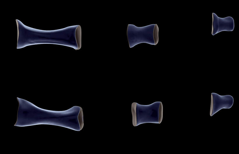 动脉,静脉,骨骼,无人,横图,插画,室内,特写,白天,正面,数码,科技,静物,许多,阴影,黑色背景,网络,医学,骨头,高光,几何,计算机图形,合成,图画,画,紫色,模型,人体,电脑合成图,数码合成图,骨架,生物学,漫画,生理学,写实,具体,具象,趾骨,彩图