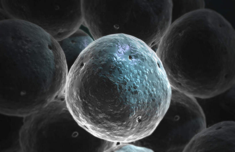 无人,横图,黑白,插画,室内,白天,正面,数码,科技,许多,阴影,微小,网络,细菌,高光,几何,计算机图形,合成,图画,画,黑色,动物,电脑合成图,数码合成图,漫画,病菌,写实,具体,具象,传染,寄生,微弱