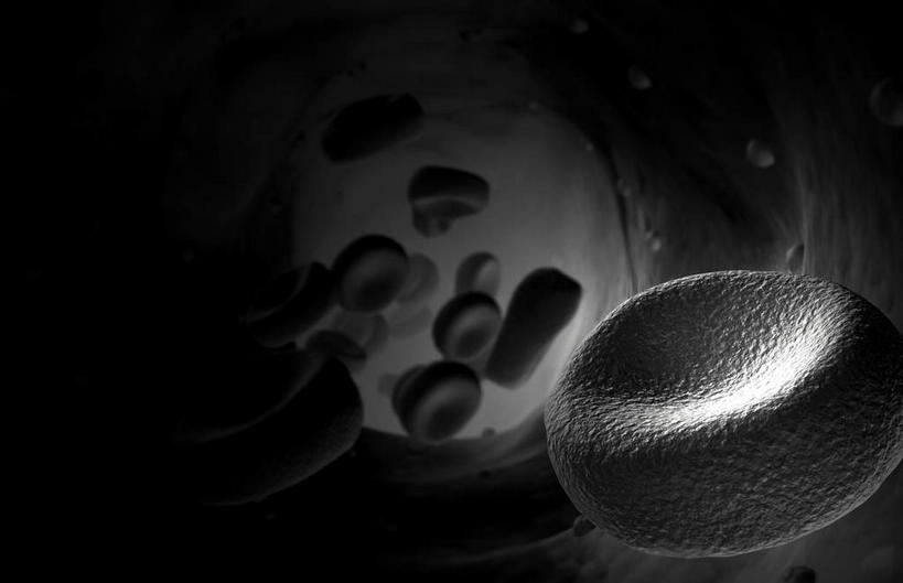 无人,横图,黑白,插画,室内,特写,白天,正面,数码,科技,静物,许多,阴影,网络,医学,细胞,高光,几何,计算机图形,合成,图画,画,人体,电脑合成图,数码合成图,生物学,血细胞,血小板,漫画,生理学,写实,具体,具象,红细胞