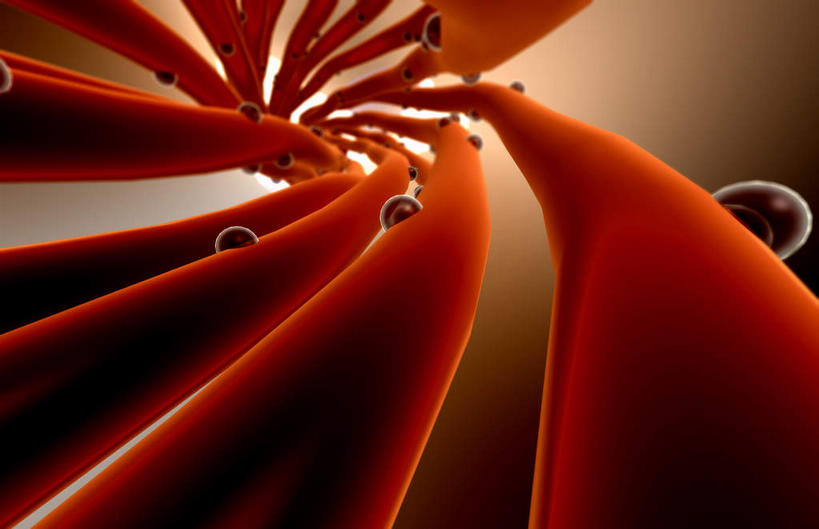 神经,无人,横图,插画,室内,特写,白天,正面,数码,科技,静物,阴影,网络,医学,细胞,高光,几何,计算机图形,合成,图画,画,红色,人体,电脑合成图,数码合成图,生物学,漫画,生理学,写实,具体,具象,神经纤维,轴突,彩图,神经系统