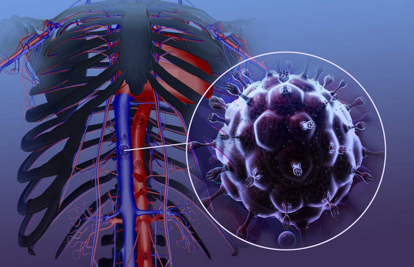 神经,动脉,静脉,骨骼,肋骨,脊椎,无人,横图,插画,室内,特写,白天,正面,数码,分子,科技,微生物,静物,阴影,网络,医学,骨头,高光,几何,计算机图形,合成,图画,画,模型,生物,人体,电脑合成图,数码合成图,骨架,性传播疾病,医疗,病毒,疾病,生物学,艾滋病,漫画,生理学,写实,具体,具象,传染,传染病,寄生,生命体,后天性免疫缺陷症候群,获得性免疫缺陷综合症,流行症,慢性病,致命,艾滋病病毒,彩图,神经系统,感染