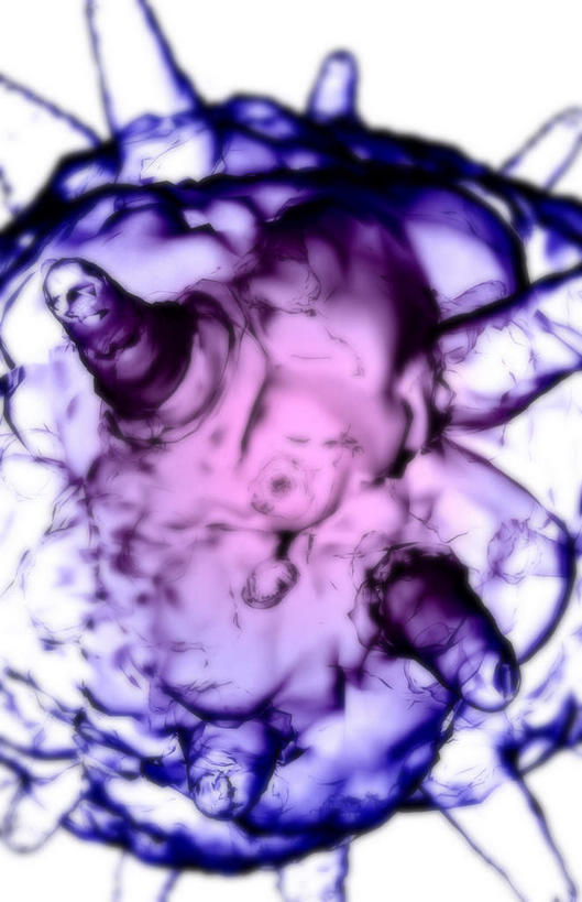 无人,竖图,插画,室内,白天,白色背景,正面,数码,科技,微生物,阴影,网络,医学,高光,几何,计算机图形,合成,图画,画,紫色,生物,电脑合成图,数码合成图,医疗,病毒,生物学,漫画,写实,具体,具象,寄生,生命体,生物病毒,DNA病毒,疱疹,疱疹病毒,彩图