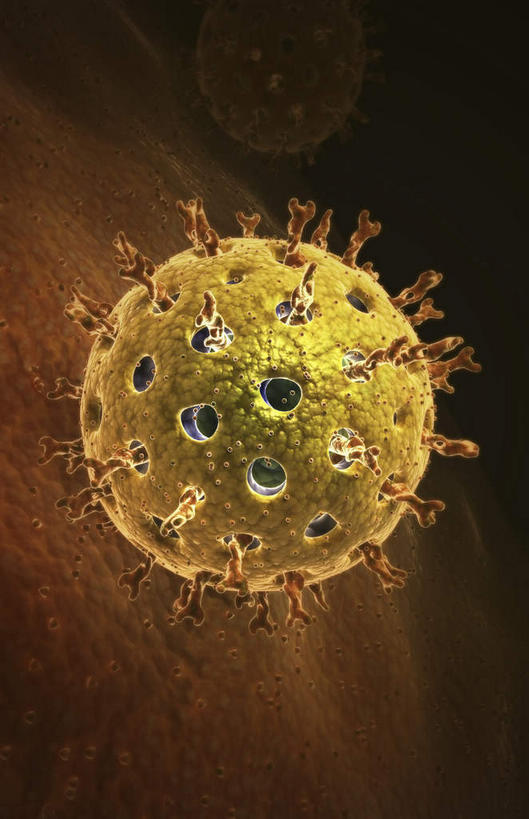 无人,竖图,插画,室内,特写,白天,正面,数码,科技,微生物,静物,阴影,网络,医学,细胞,高光,几何,计算机图形,合成,图画,画,黄色,生物,人体,电脑合成图,数码合成图,医疗,病毒,生物学,漫画,生理学,写实,具体,具象,寄生,生命体,生物病毒,呼肠孤病毒,彩图